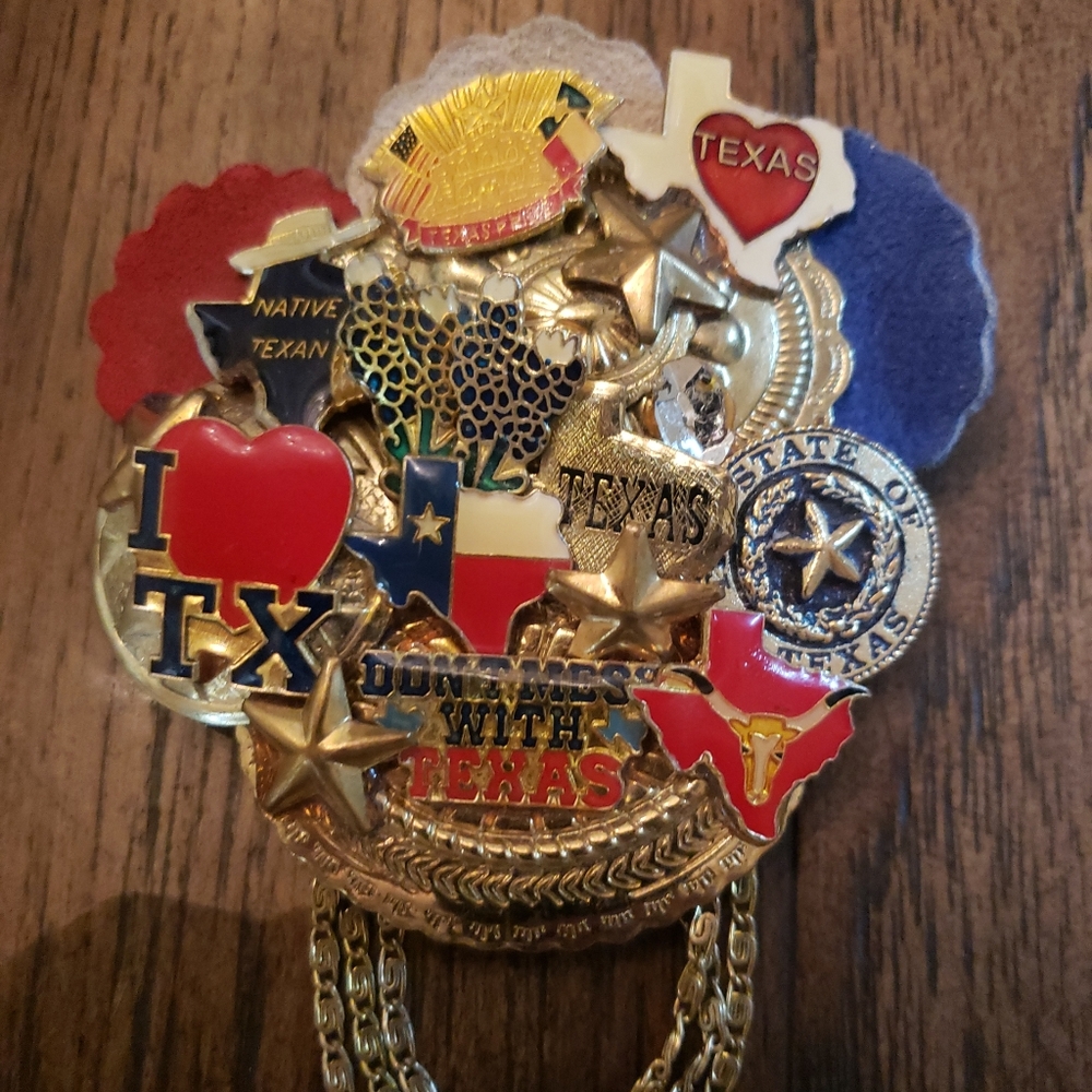 Don't Mess With Texas Brooch